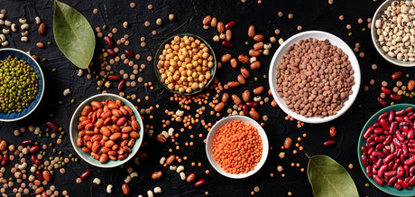 Grains & Legumes & Lentils