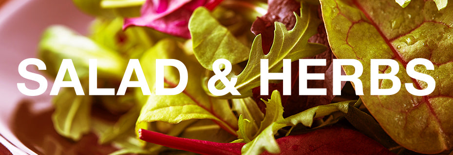Salad & Herbs